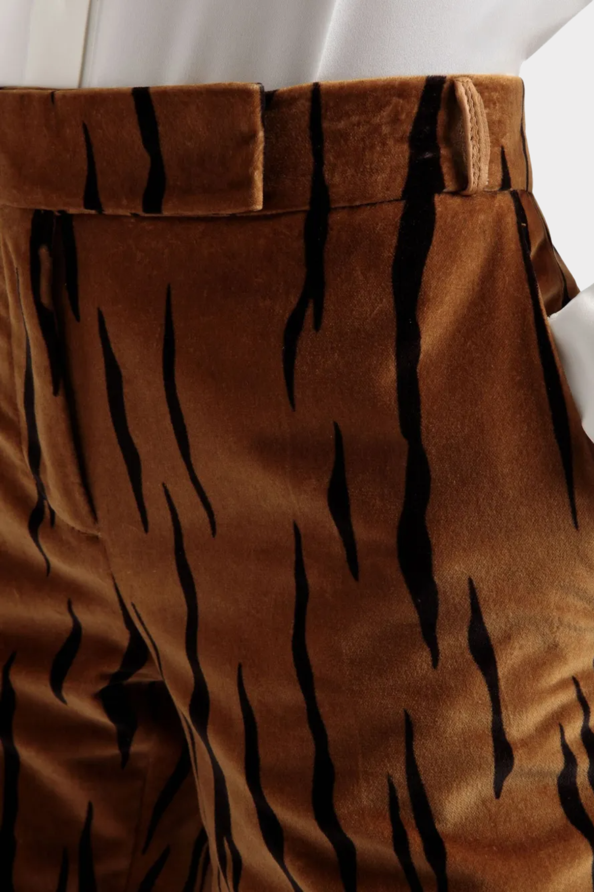 Omaira Tiger Print Velvet Blazer & Pants Set
