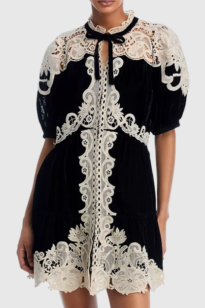 Pasca Lace-trimmed Velvet Mini Dress