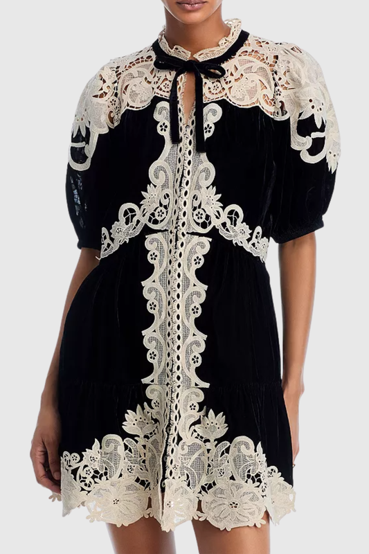 Pasca Lace-trimmed Velvet Mini Dress