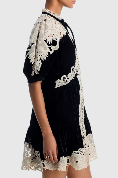 Pasca Lace-trimmed Velvet Mini Dress