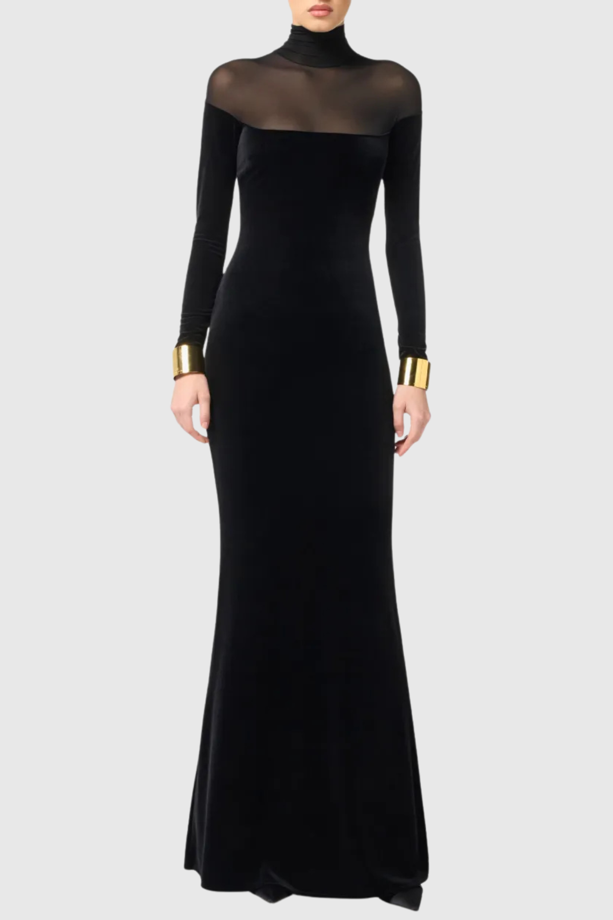 Ravio Velvet Sheer Mesh Maxi Dress