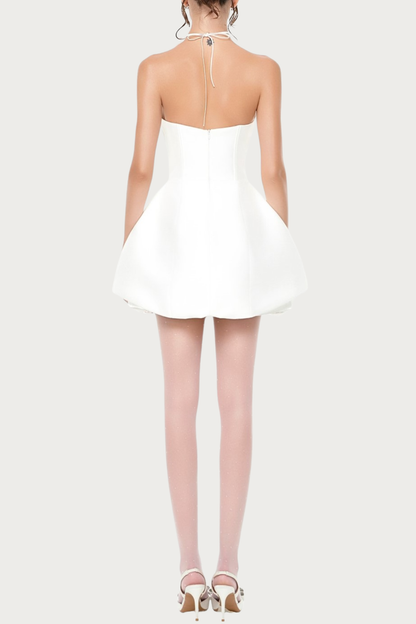Remiel Strapless Rose Appliqué Corset Mini Dress - White