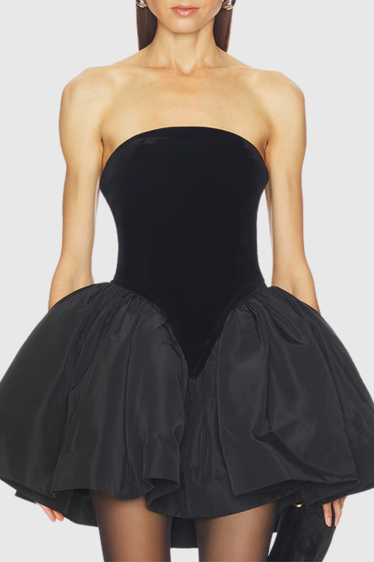 Rouxa Strapless Mini Dress