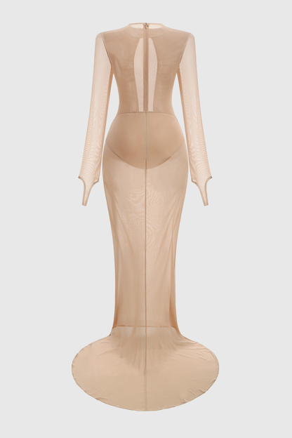Shakira Ruched Mesh Maxi Dress