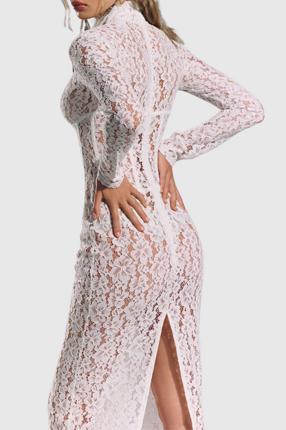 Susmita Lace Corset Maxi Dress
