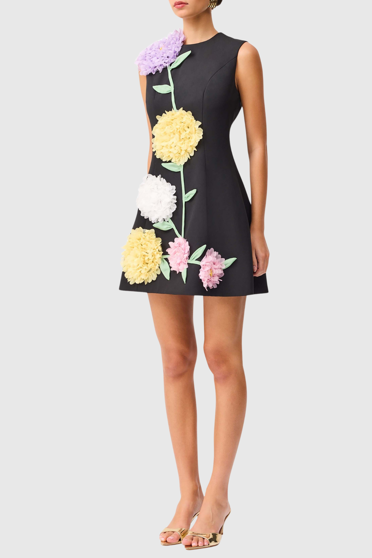 Trevia Floral Appliqué Sleeveless Mini Dress - Black