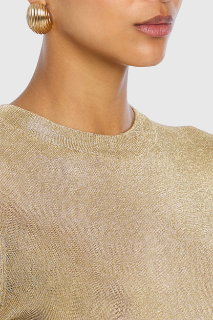 Trisha Metallic Knit Top