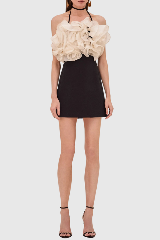 Vasco Floral Ruffle Mini Dress
