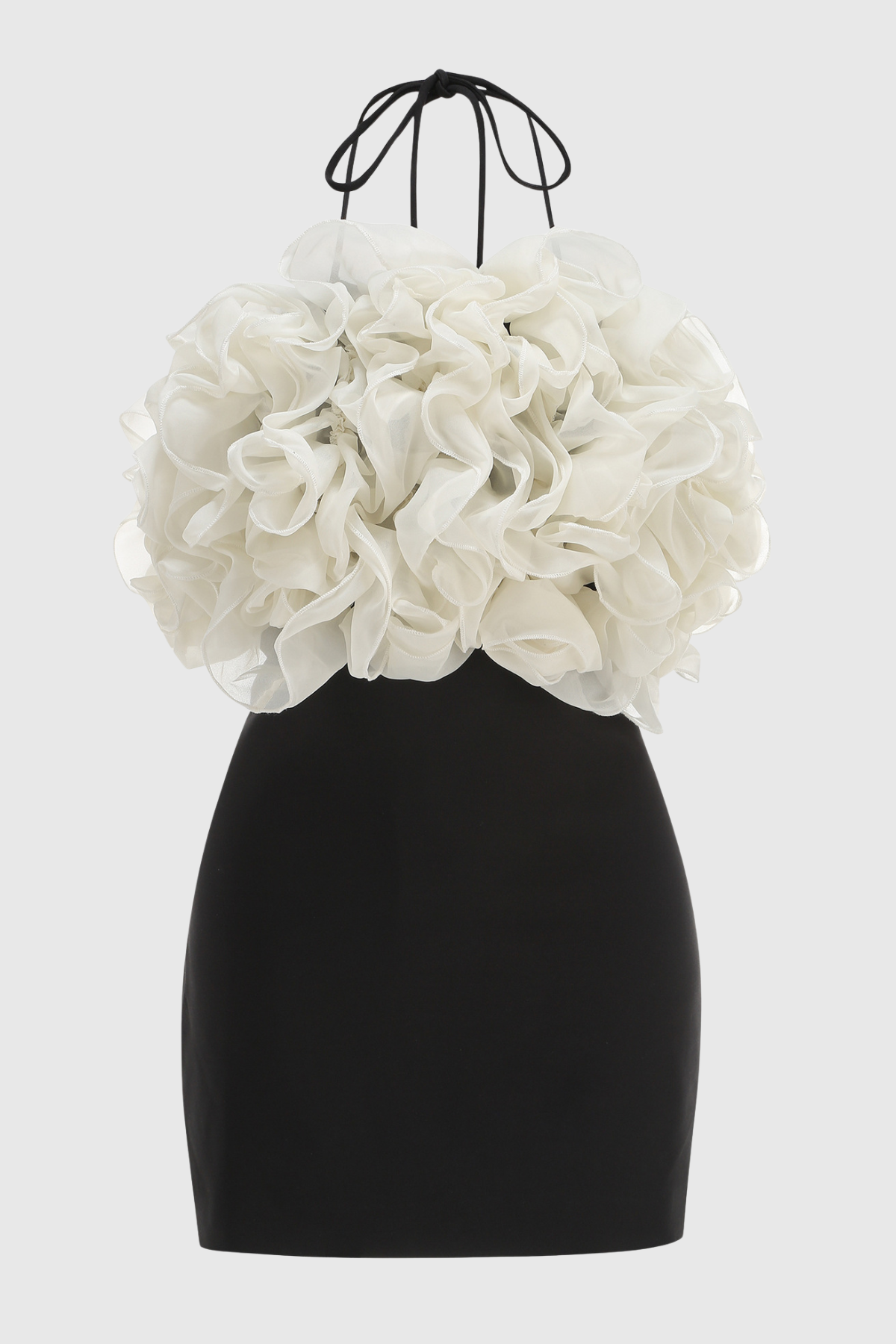 Vasco Floral Ruffle Mini Dress