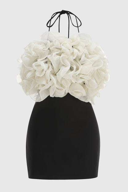 Vasco Floral Ruffle Mini Dress
