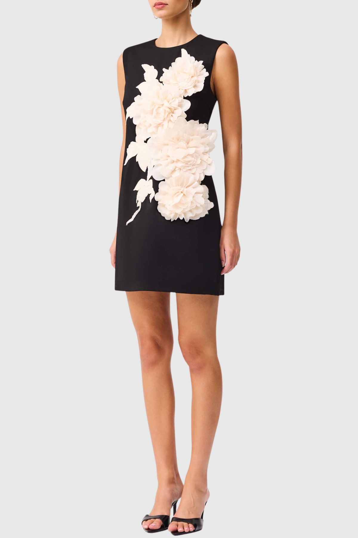 Ventura Floral Applique Sleeveless Mini Dress - Black