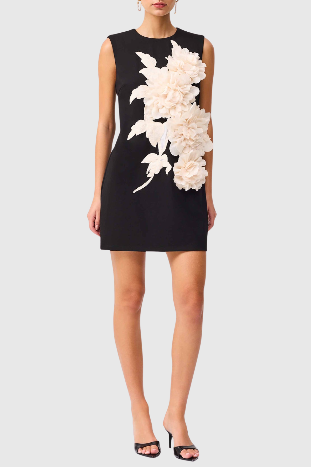 Ventura Floral Applique Sleeveless Mini Dress - Black