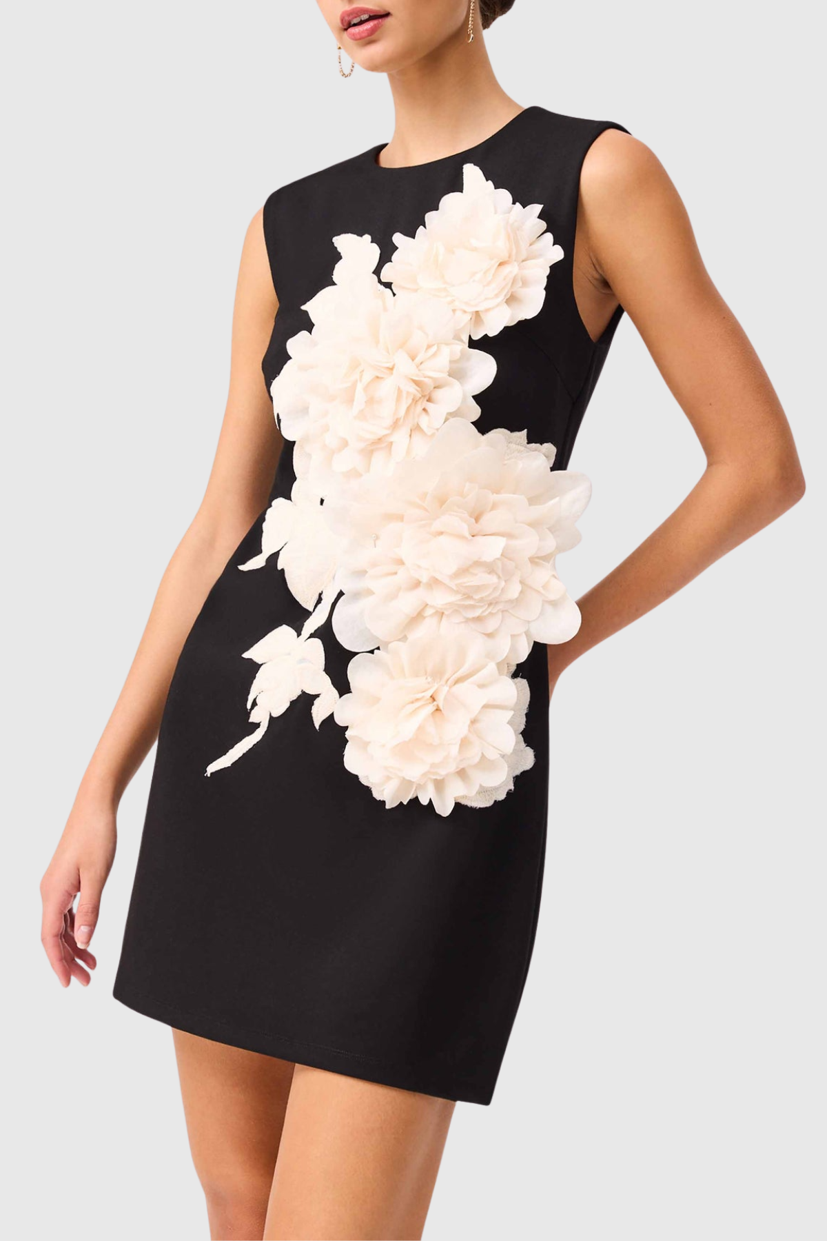 Ventura Floral Applique Sleeveless Mini Dress - Black