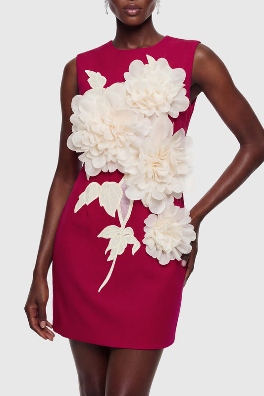 Ventura Floral Applique Sleeveless Mini Dress - Red