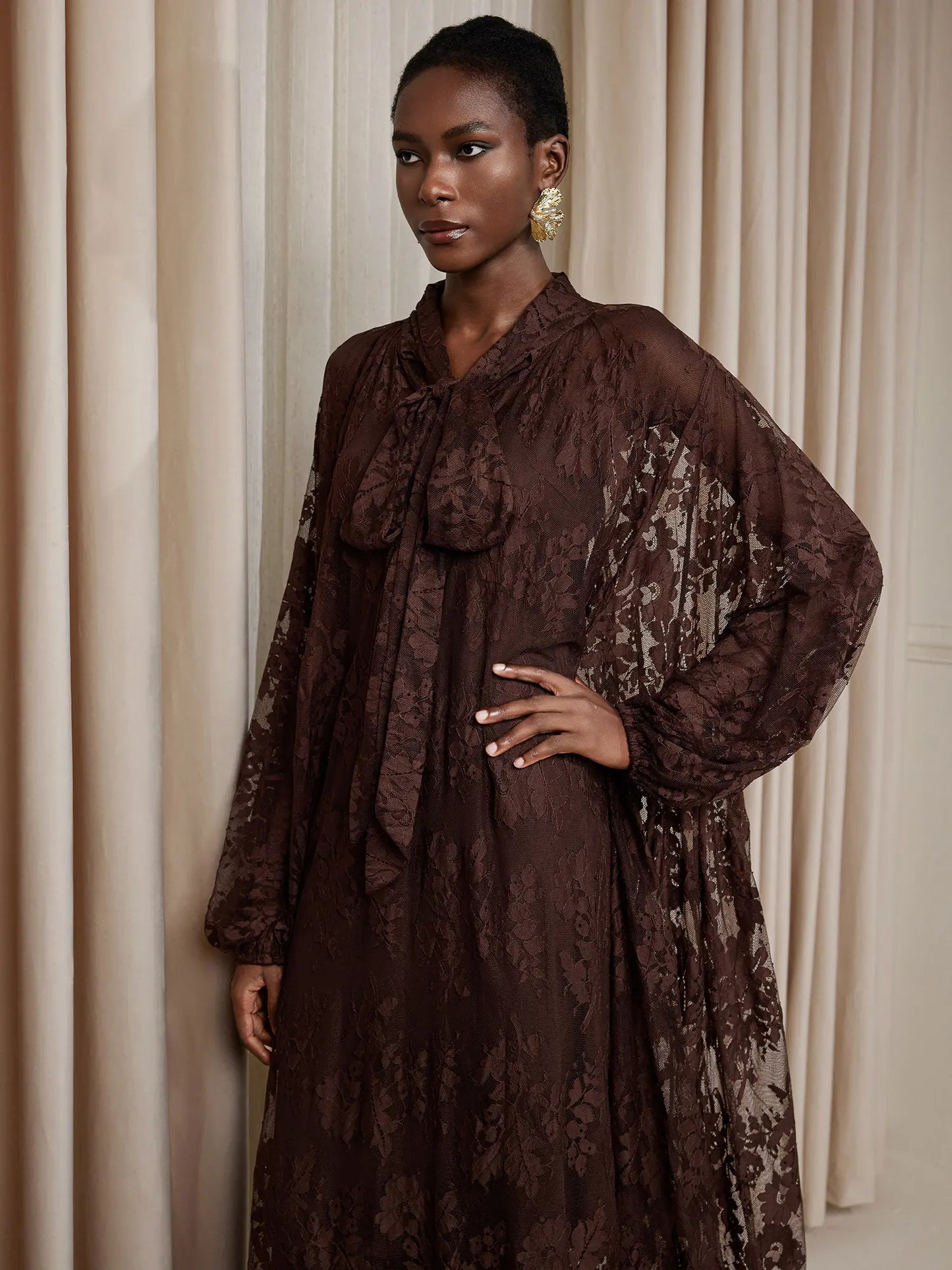 Brown Printed Sheer Maxi Dress