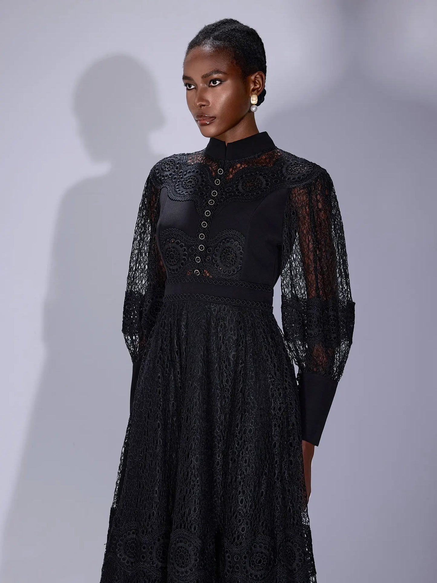 Sheer Mesh High-Neck Elegant Maxi Dress